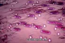 让我们揭秘！喝下一瓶酒后，身体会发生什么奇妙的变化？图片