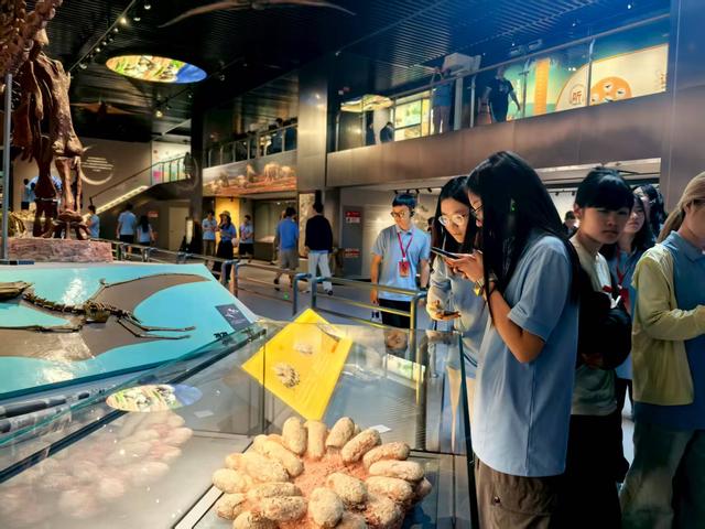 四高校147名师生赴新疆地质矿产博物馆参观交流 助力人才强区战略
