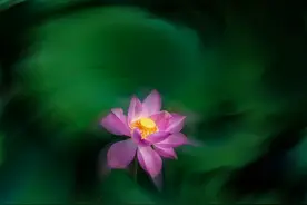 语文三年级下册课后仿写小练笔范文图片