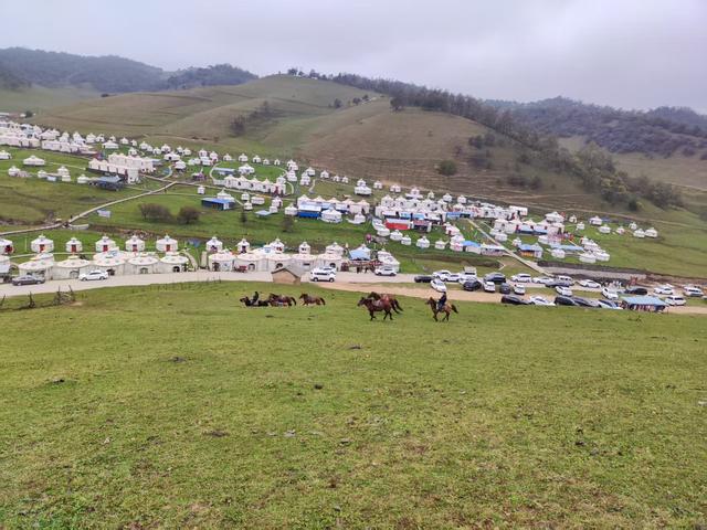 11月再见	，12月你好！