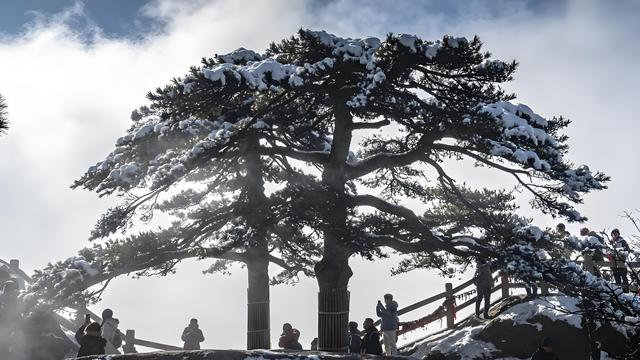 黄山雪舞云千叠 徽韵暖融冬一行——初冬安徽黄山纪行