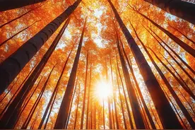 异性之间有这4个小动作，说明对方对你心动了图片