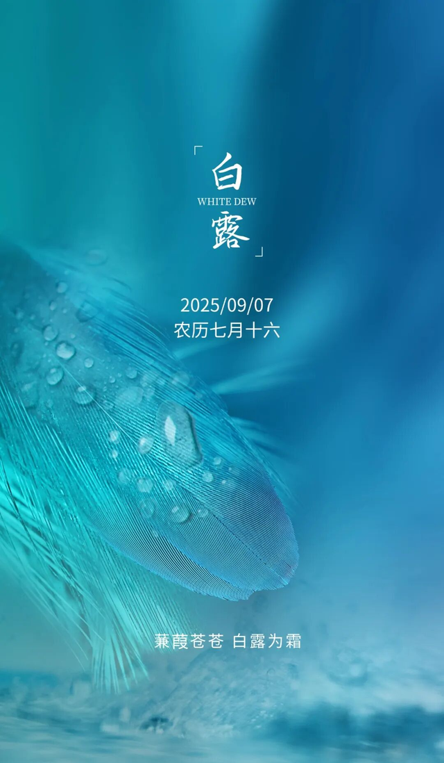 白露图片海报文案，白露朋友圈祝福问候语句子
