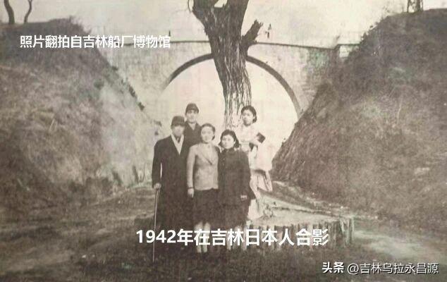 见过吗？吉林市北山公园罗锅桥下曾有一棵“挡道”的大树