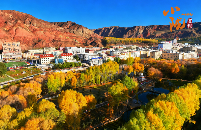 【小陇画报·426期】肃南：多彩秋日 满目金黄