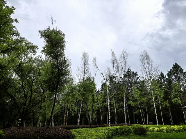 2025年夏季东北边境游（12）灵光塔
