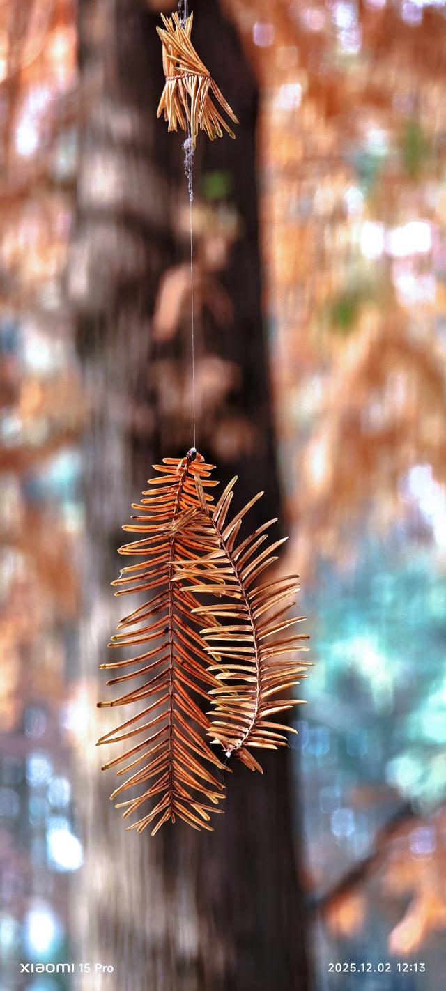 安靖蜀绣文化创意公园时下打卡好去处（手机拍一）