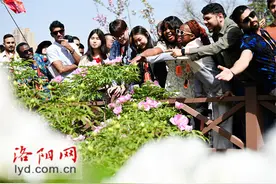 畅游牡丹花城 尽览古都之美！国际“Z世代”牡丹花城周游记活动落幕图片