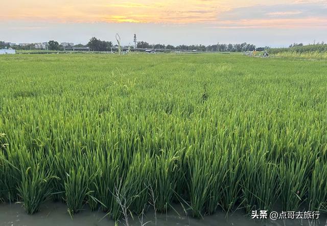 成都三元地铁又上新风景，超级惊艳，不要门票，地铁直达！