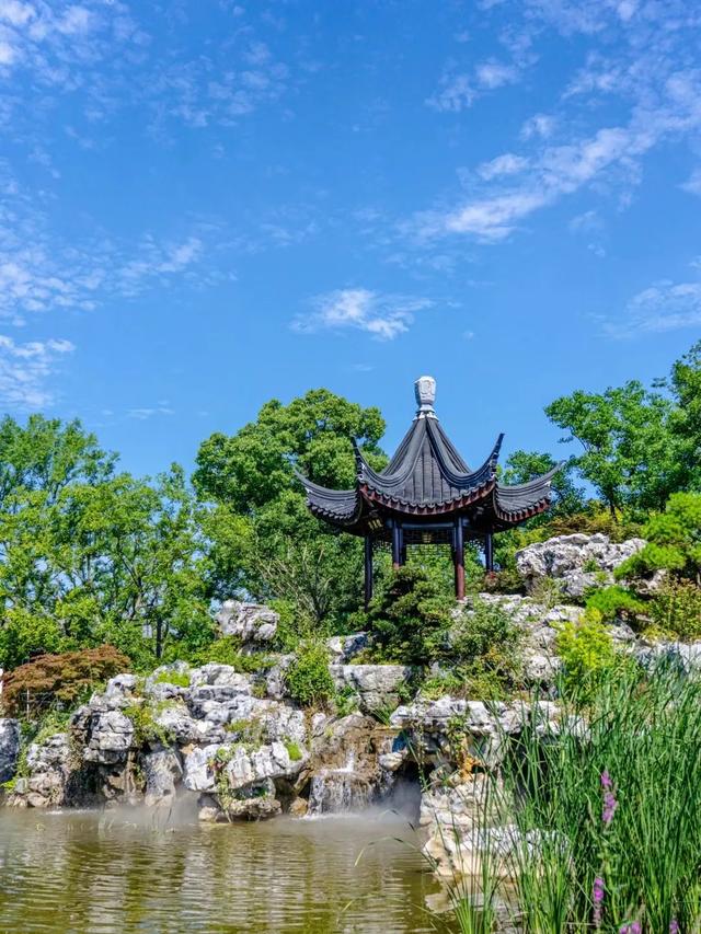 上海解锁“千园之城”,遛娃拍照吸氧圣地,哪个是你最爱?