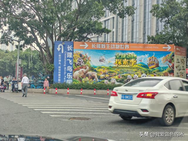 参观广州长隆野生动物园，全程感觉眼累手累腿不累