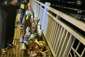 游戏天才胖猫的神秘生活：他的巨额财富、爱情悲剧和离奇去世背后图片