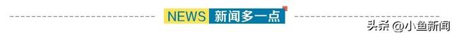 国家备案，再+1！