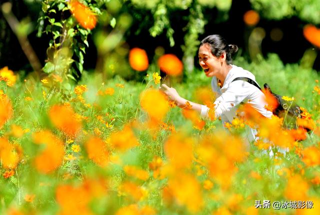 群力外滩花海真美，市民、游客组团来打卡拍照