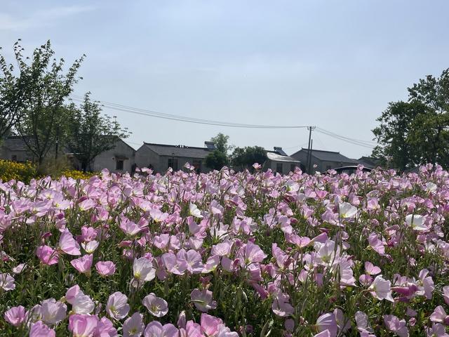 骑游浦口永宁醉美青山渔村