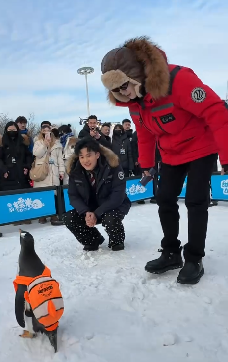 赴龙江，见萌兽