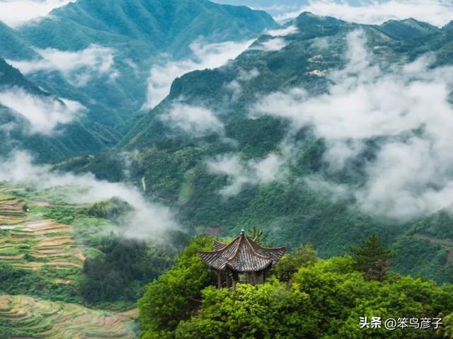 这5个浙江小众避暑圣地，不仅凉快得像天然冰箱，而且人少景美