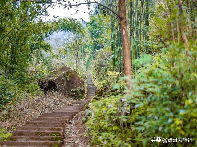 成都大邑爆火彩林，小牛背山、小喀纳斯这里都有，超级惊艳！