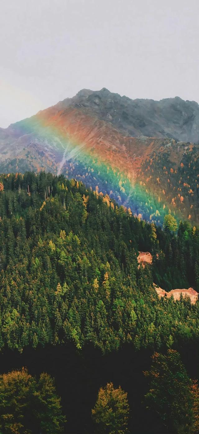 风景壁纸已送达