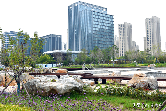 青岛高新区中心湖公园正式对外开放