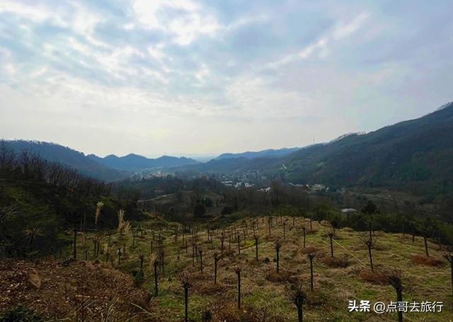 成都崇州徒步首选，被低估的森林路线，全部免费，风景超级惊艳！