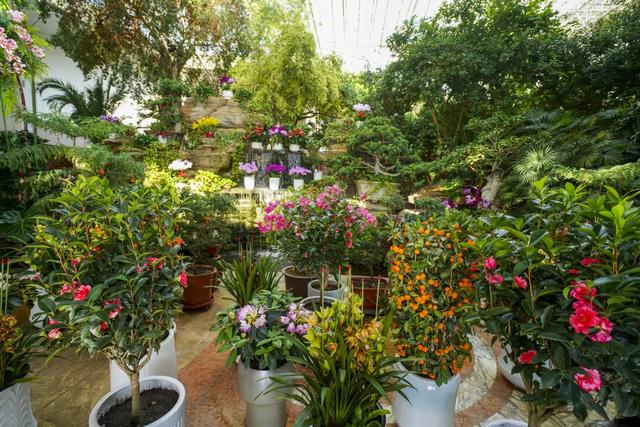 以花之名，邂逅满园春色