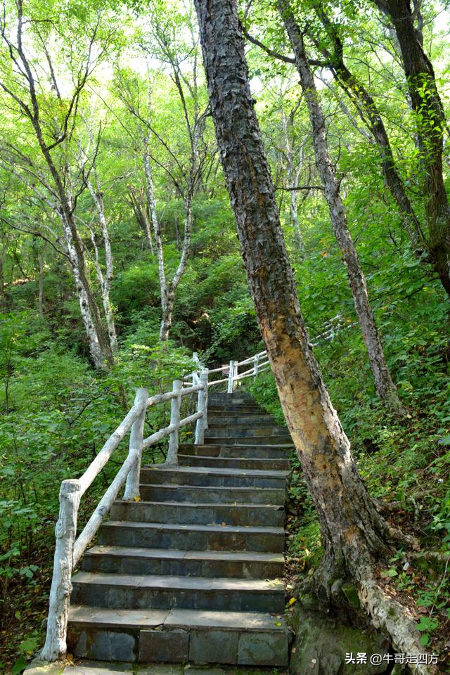 河北百草畔（中）：览尽三山舒望眼，行穿百草浣尘襟
