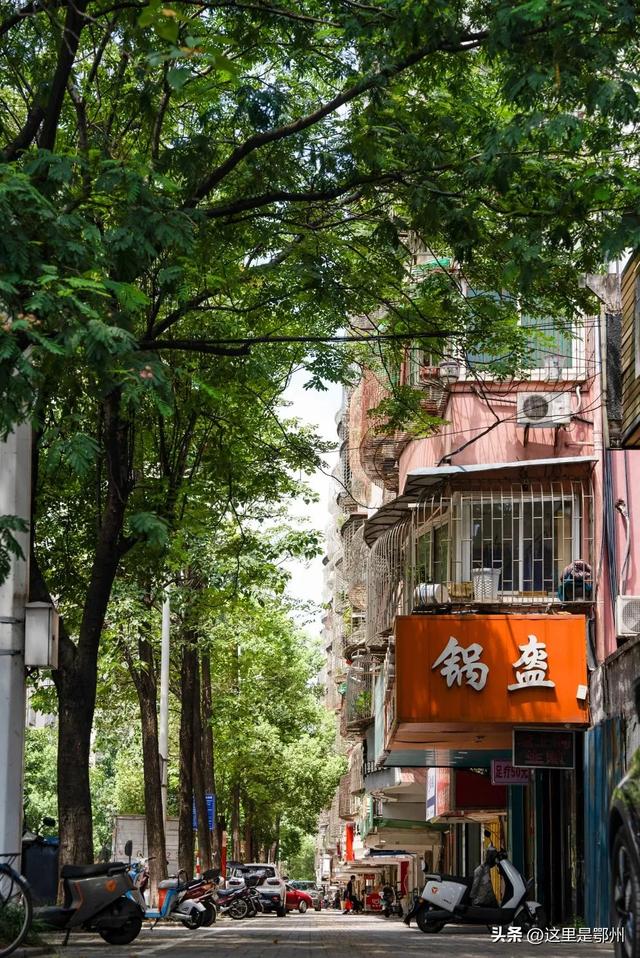 4.486公里!折叠鄂州千年历史