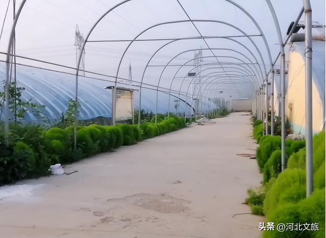 廊坊城乡景点 休闲好去处