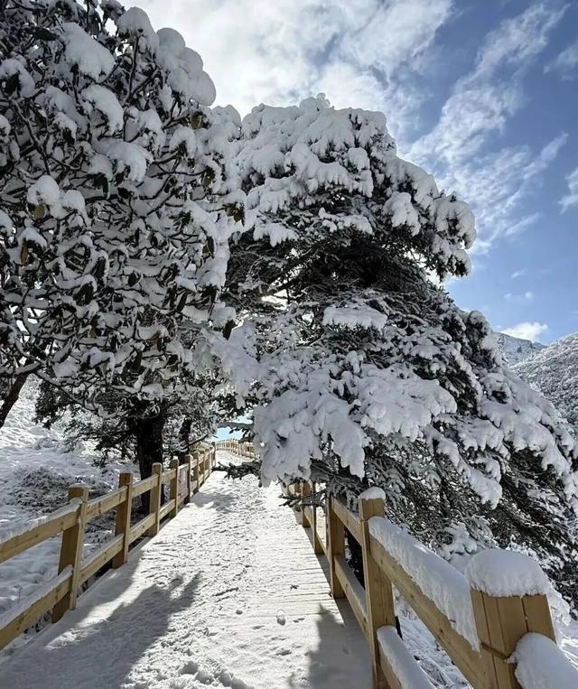 锦绣陇南·初冬秘境丨雪落藏羌寨，官鹅沟的另一面→