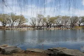 明天是清明，没事别到别人家里去图片