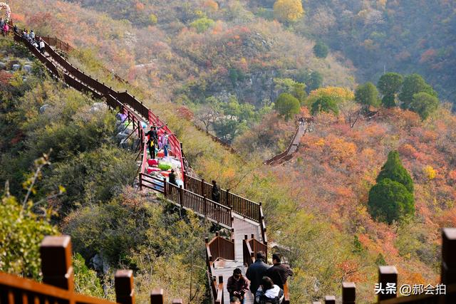 焦作窄门的深秋色彩！走五彩步道，赏太行红叶
