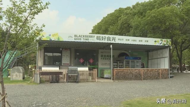 仪征黑莓小镇：打造“露营+”概念 探索旅游新体验
