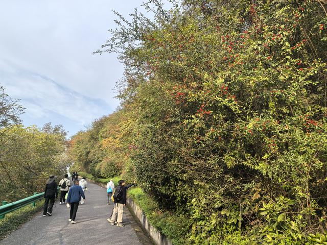 南京幕府山郊野徒步