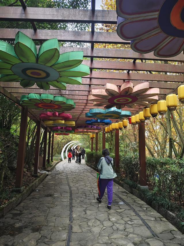 南行漫记：织金洞的美我不去评说，只说游的过程及感想