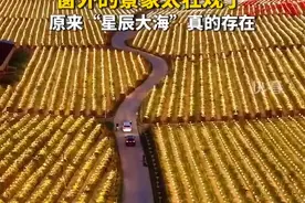 当火车驶过火龙果种植基地，灯光璀璨宛若星辰大海图片