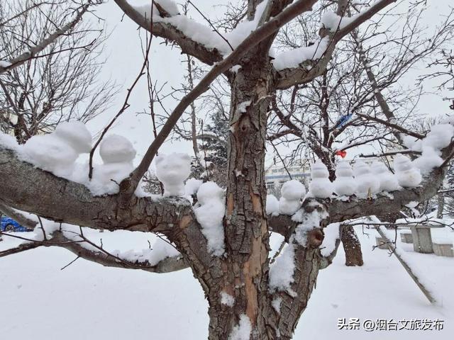 【乐游烟台】紧急通知！在烟台挖到春节王炸小城→