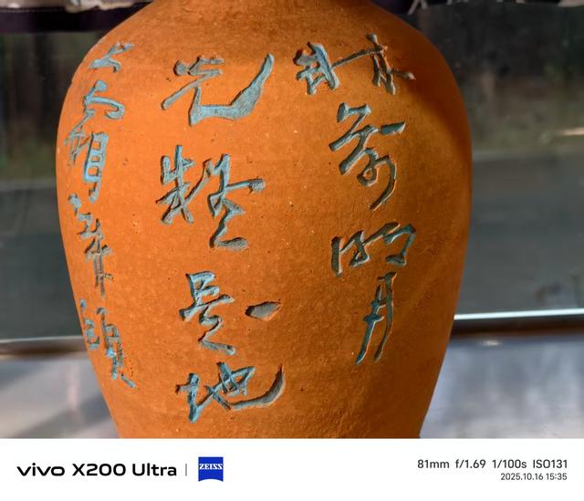 合肥蜀山区：雨中粉黛花、小岭南文化赋美、科大硅谷