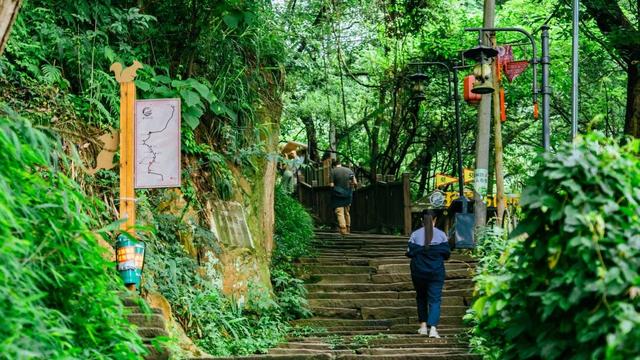 即刻出发！三款新年宝藏玩法，带你趣玩南岸