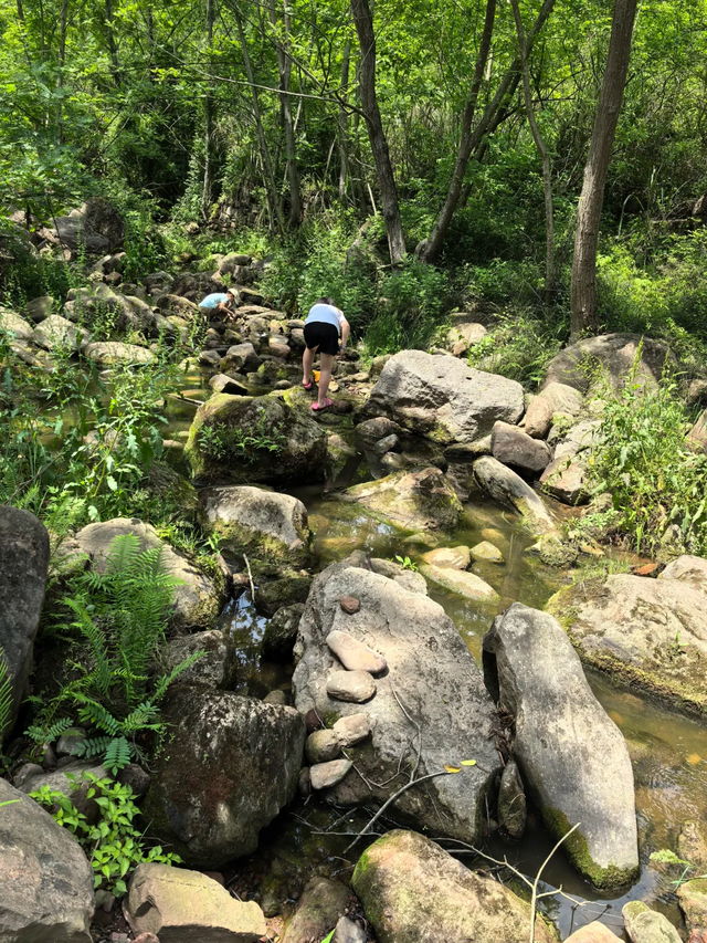 成都南门1h亲子游宝藏地，捉螃蟹、捡蘑菇、徒步钓鱼，太好玩了！