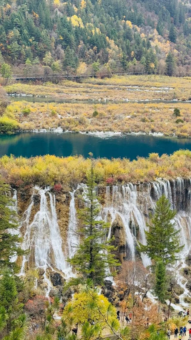 【今日九寨沟】秋季彩林最后的盛宴，明年再见！