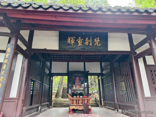 成都徒步（64）·新津篇③观音寺