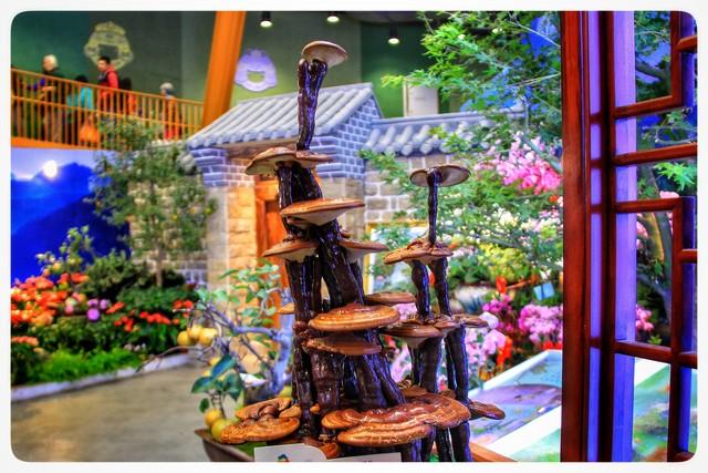 上个月去了宁德古田，我实话实说：当地人的素质让我眼界大开～