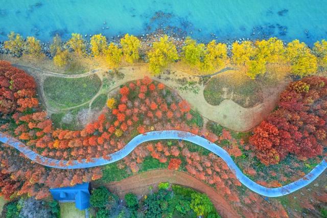 与世界级车手同赛道！解锁苏州太湖1号公路东太湖S湾最美骑行线
