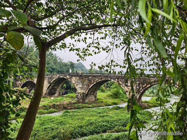 成都徒步（69）·彭州篇⑯法藏寺环线（桥断未走通）