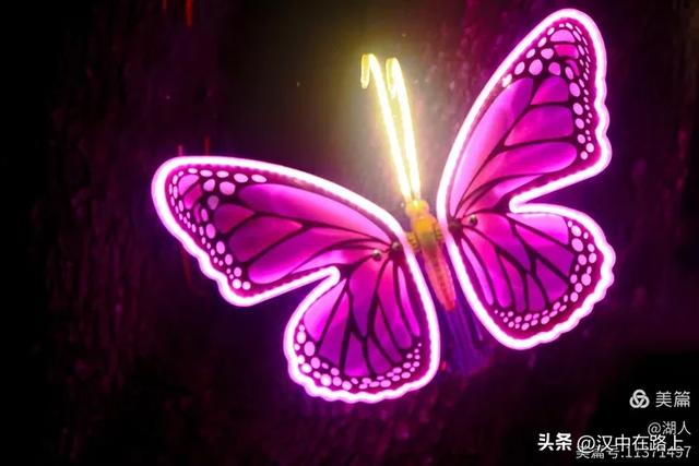 当光影遇上森林，汉中的夏夜如此动人清凉！