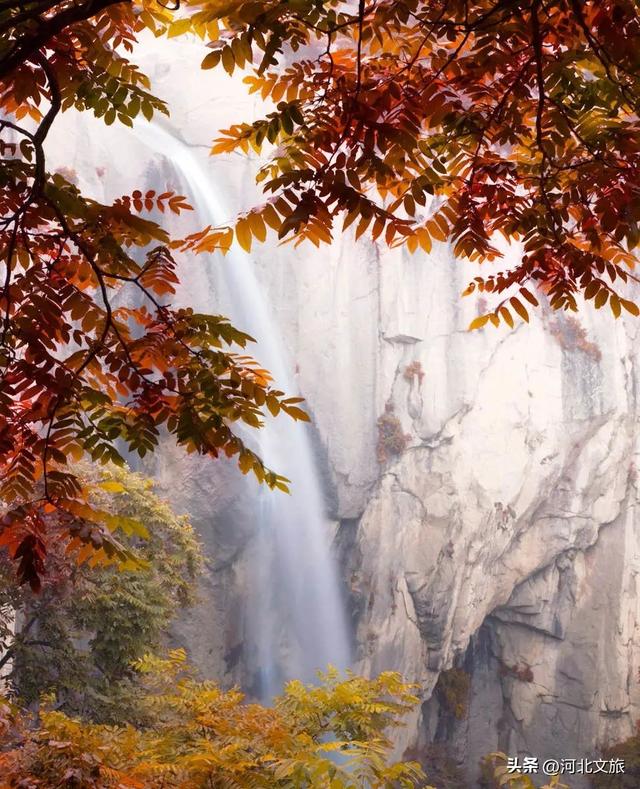 秋游河北悦山河 | 秋色满城，秦皇岛六大绝美场景等你解锁！