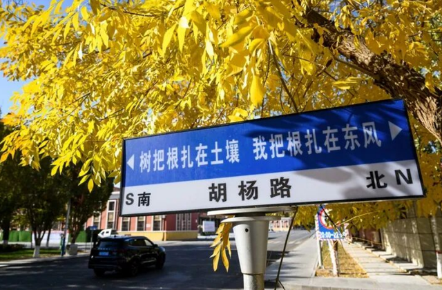 见证无数“第一”！东风航天城如何成为中国飞天梦起点