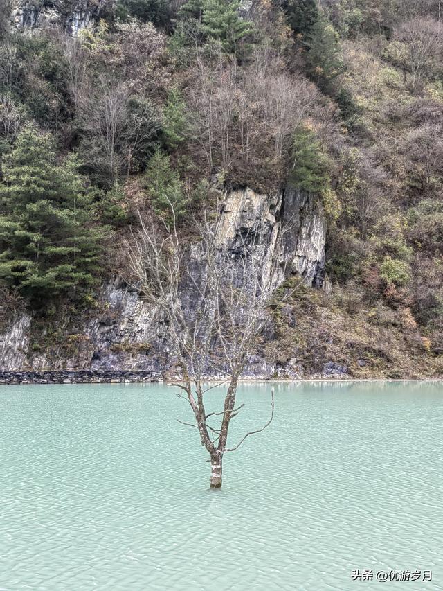 秦岭狮子沟牧场&牛奶湖