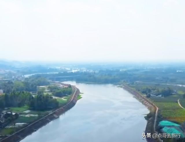 成都最浪漫的玉兰花开了，油菜花和玉兰花惊艳同框，让人赏心悦目